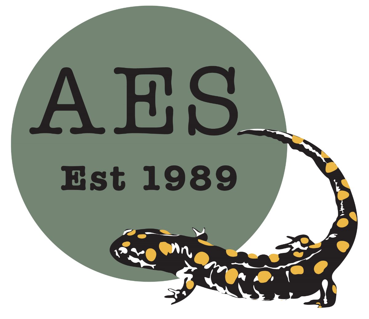 Company: Image 4